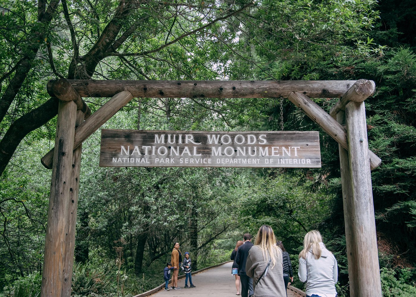 San Francisco Super Saver: Muir Woods & Wine Country w/ optional Gourmet Lunch