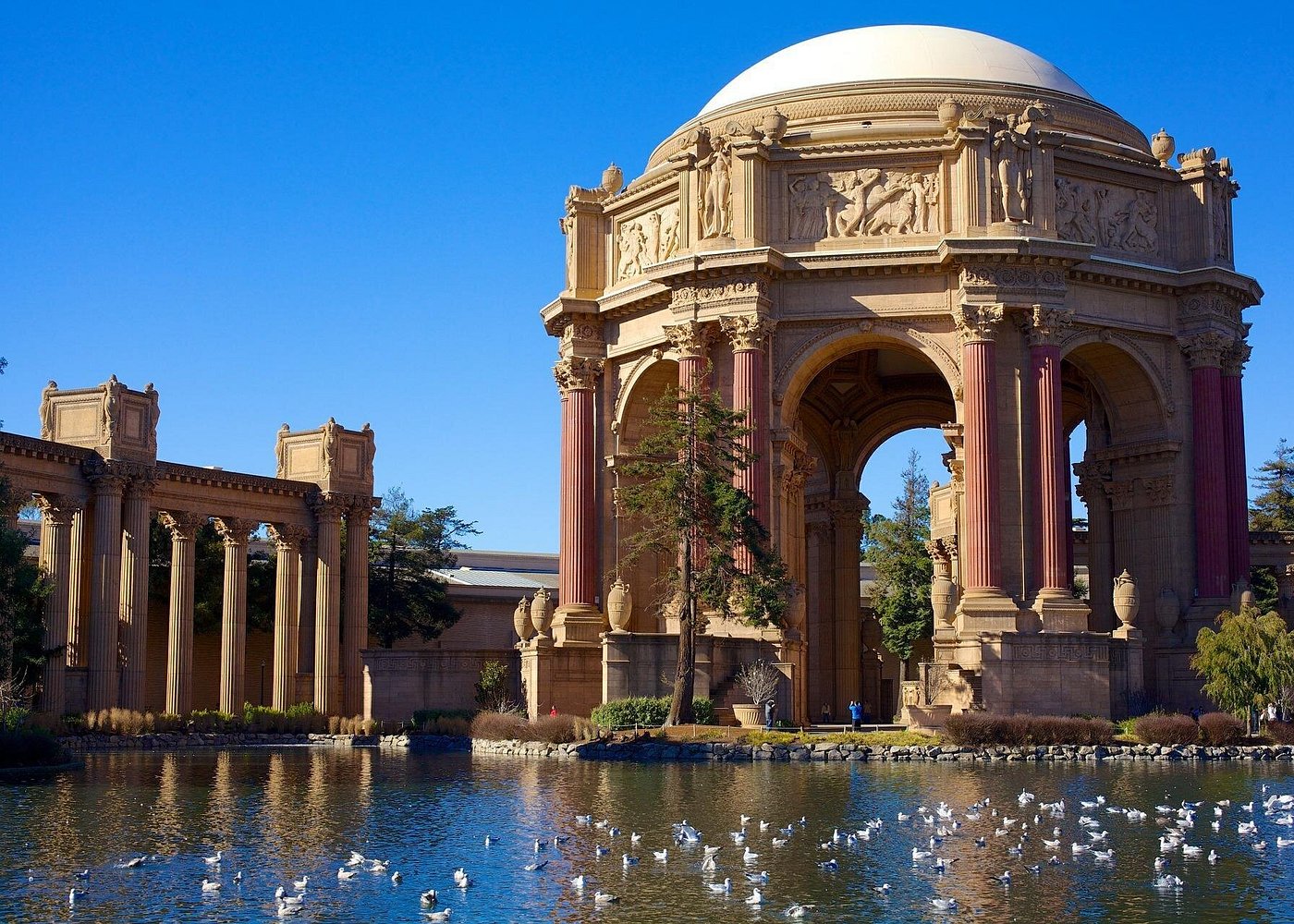 Skip the Bus: San Francisco by Luxury Van Tour