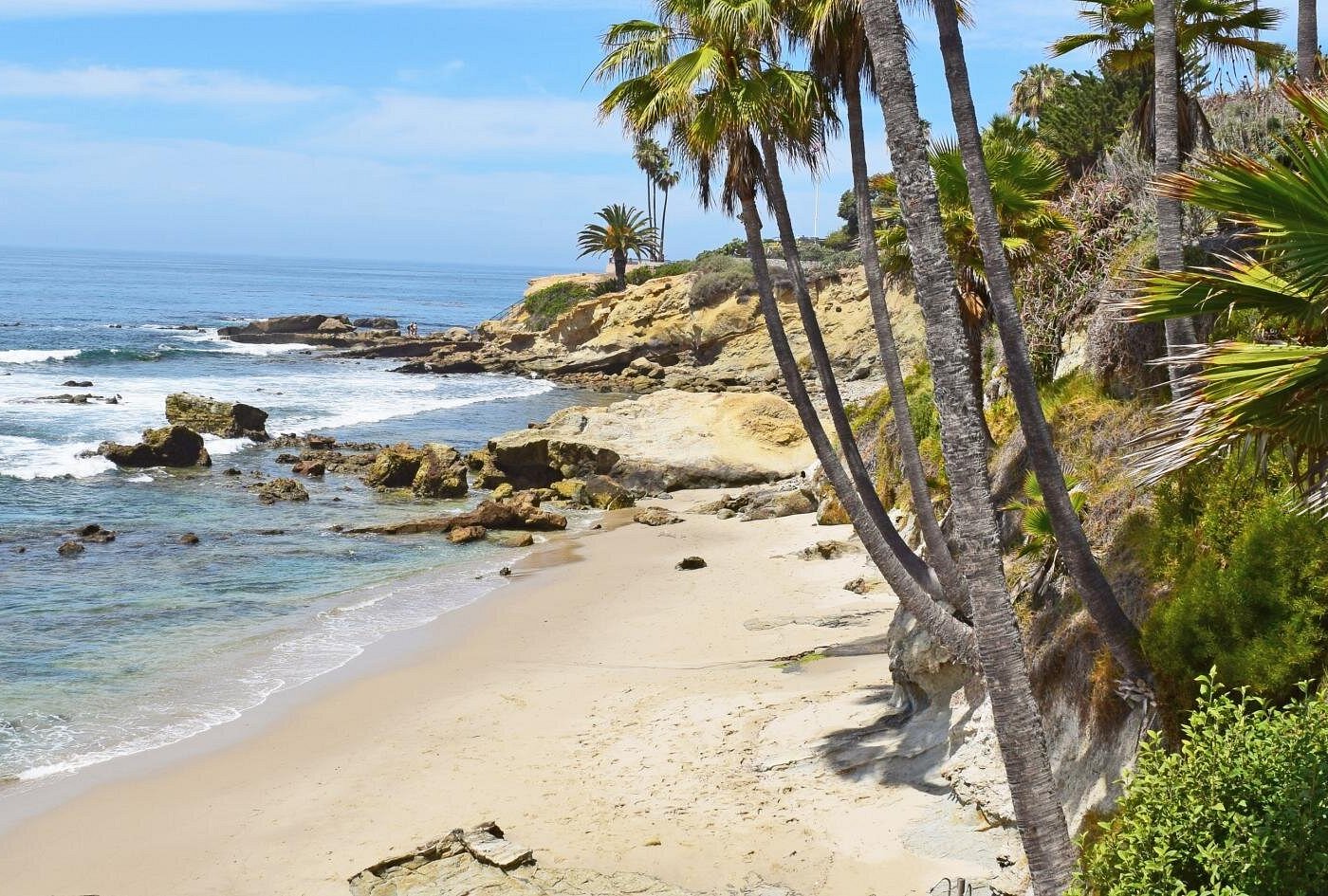 Whale-Watching and Orange County Beaches Tour