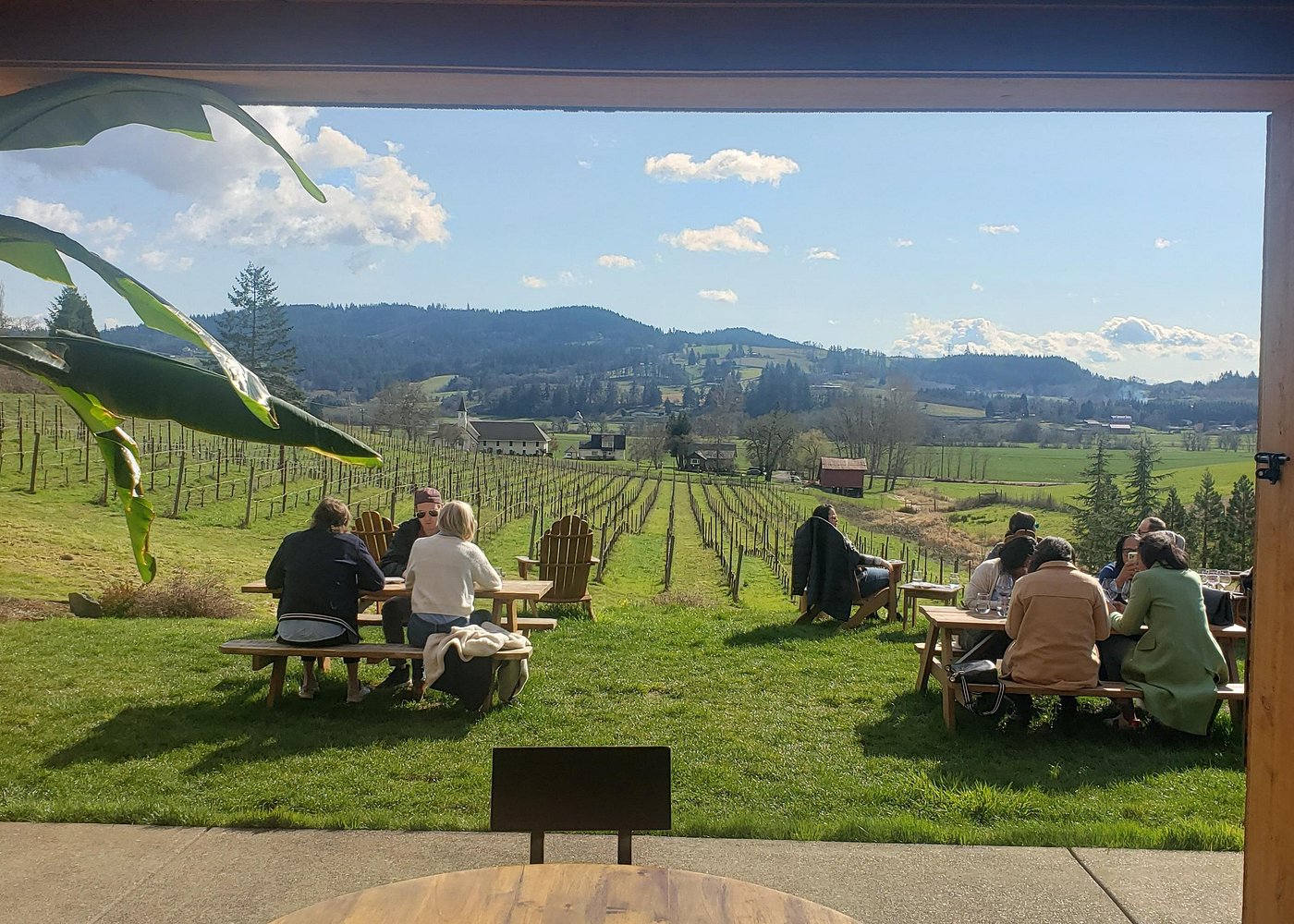 Willamette Valley Wine Tour with Lunch