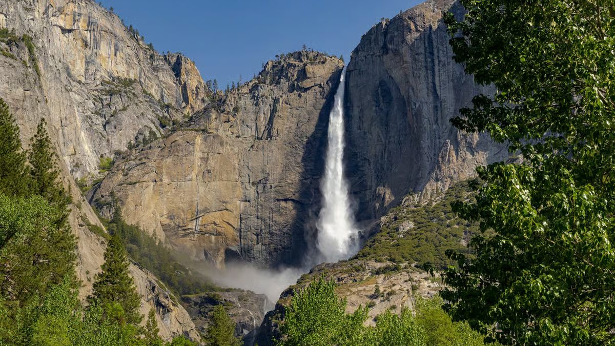 Yosemite Day Trip with Giant Sequoias Hike & Pick-up